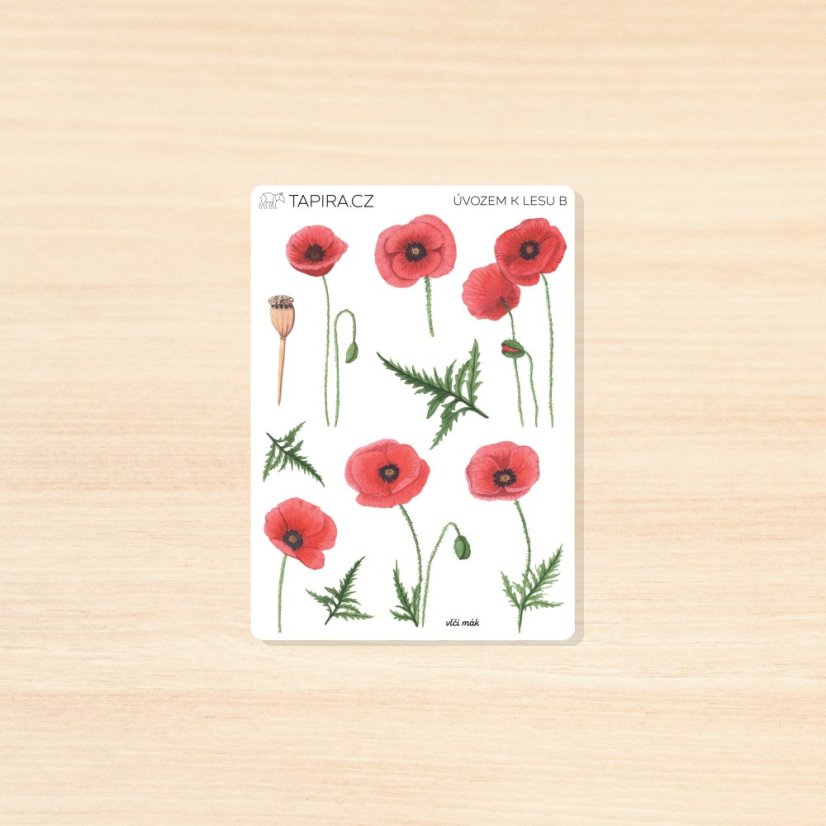 Úvozem k lesu - vzor: B