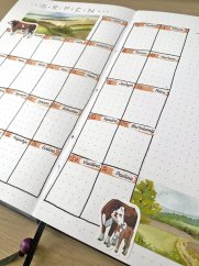 Jmeniny - samolepky s "psacím" písmem