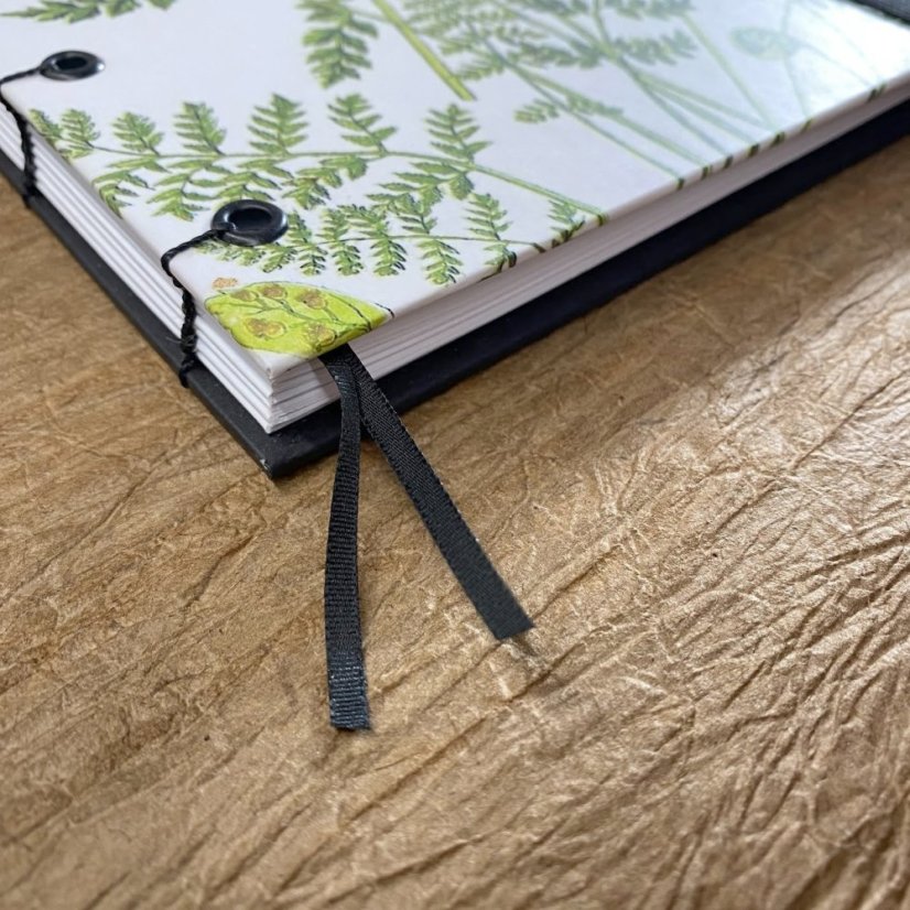 Zápisník A5+: The ferns of Great Britain No.5