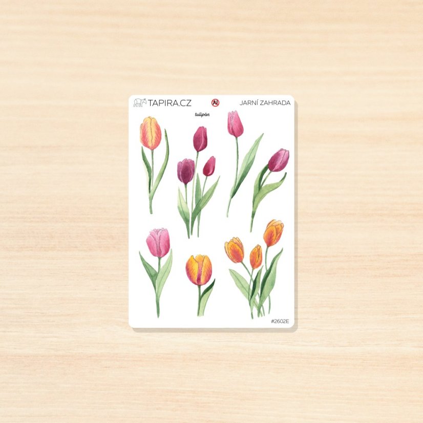 Jarní zahrada - vzor: tulipán