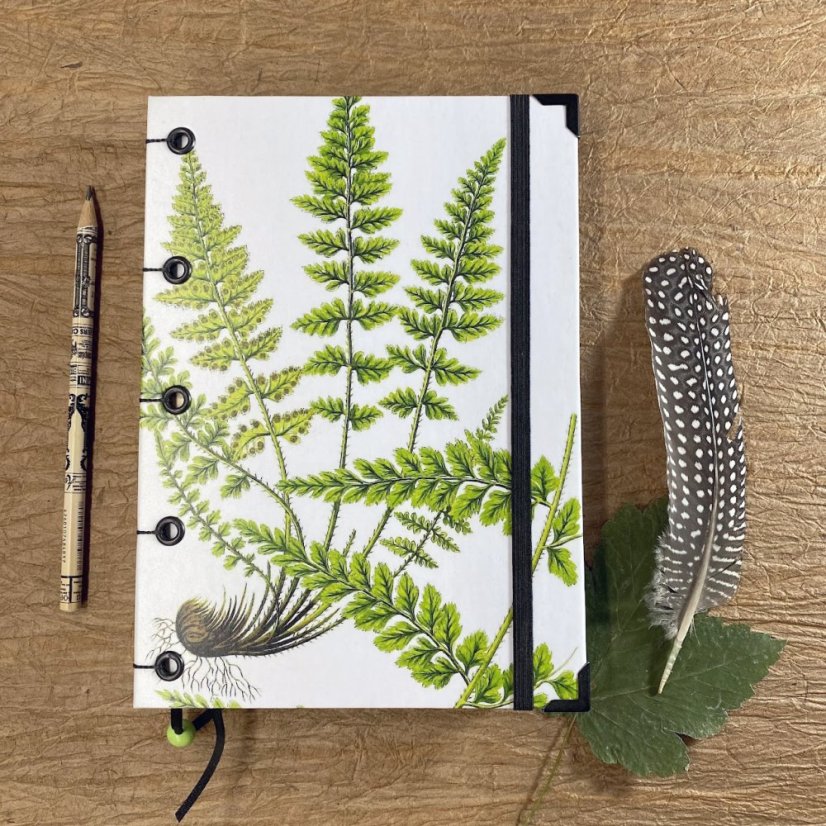 Tečkovaný zápisník A5:  The ferns of Great Britain No.1