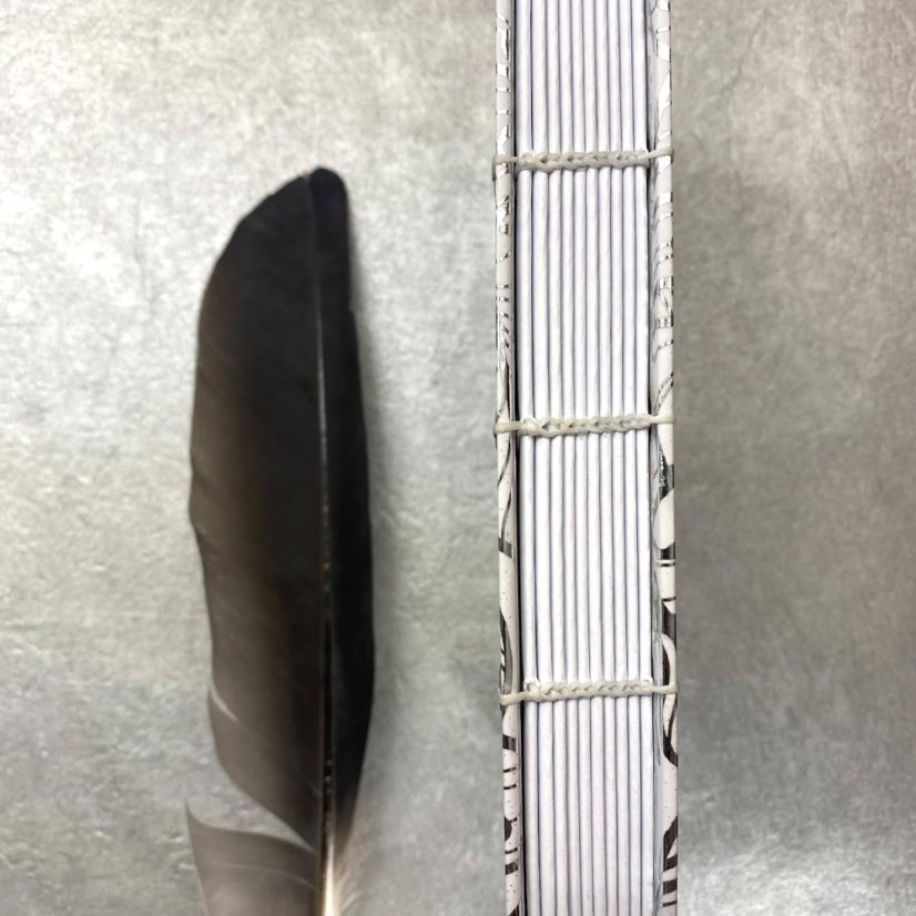 Tečkovaný zápisník Stříbrné monstery