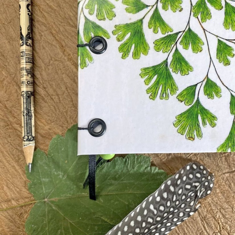 Tečkovaný zápisník A5: The ferns of Great Britain No.2