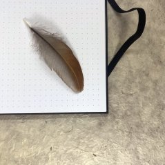 Tečkovaný zápismík A6 Puštík