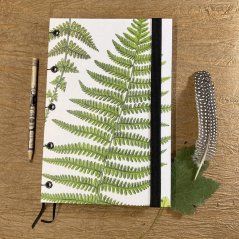 Zápisník A5+: The ferns of Great Britain No.10