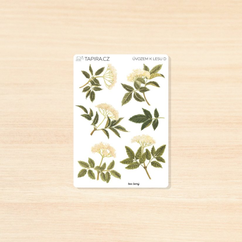 Úvozem k lesu - vzor: D